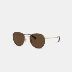 Coach Metal Windsor Round Sunglasses Sunglasses Men Brown Gold
